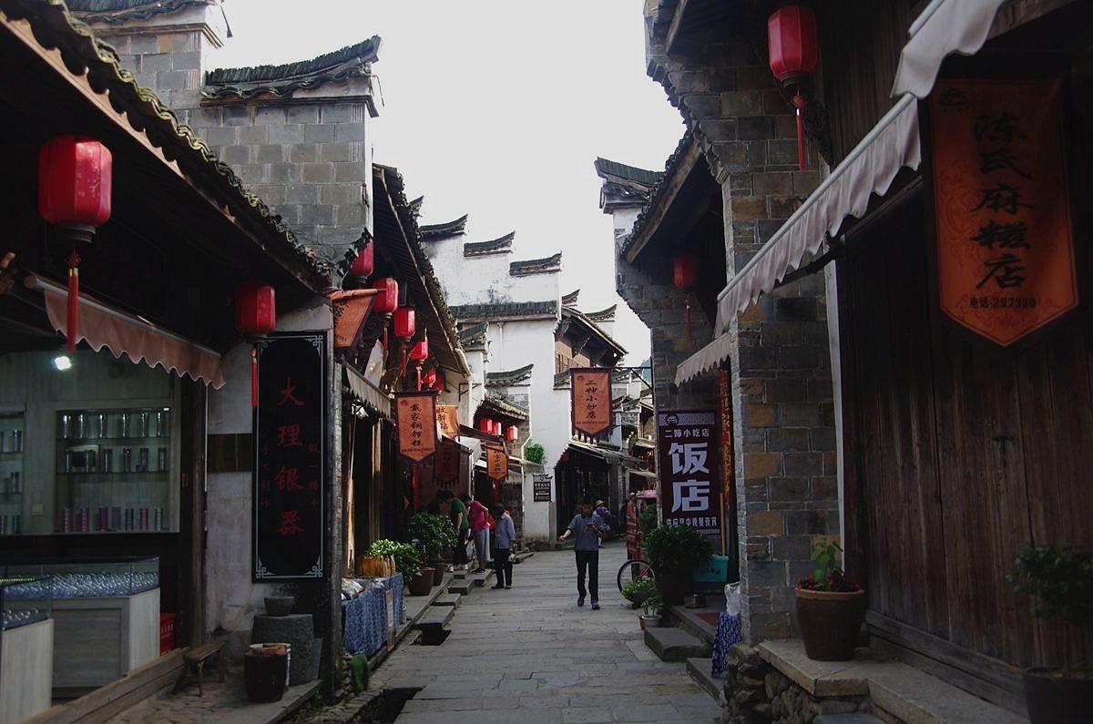 动物帮帮忙保卫家园